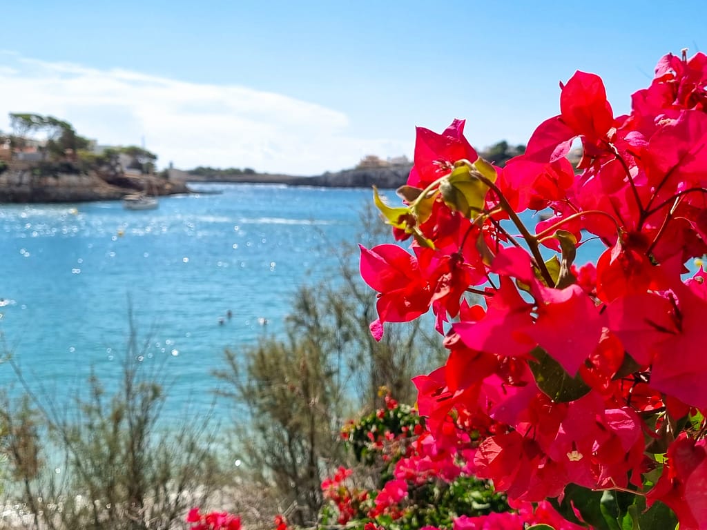 20220916_122240_InPixio